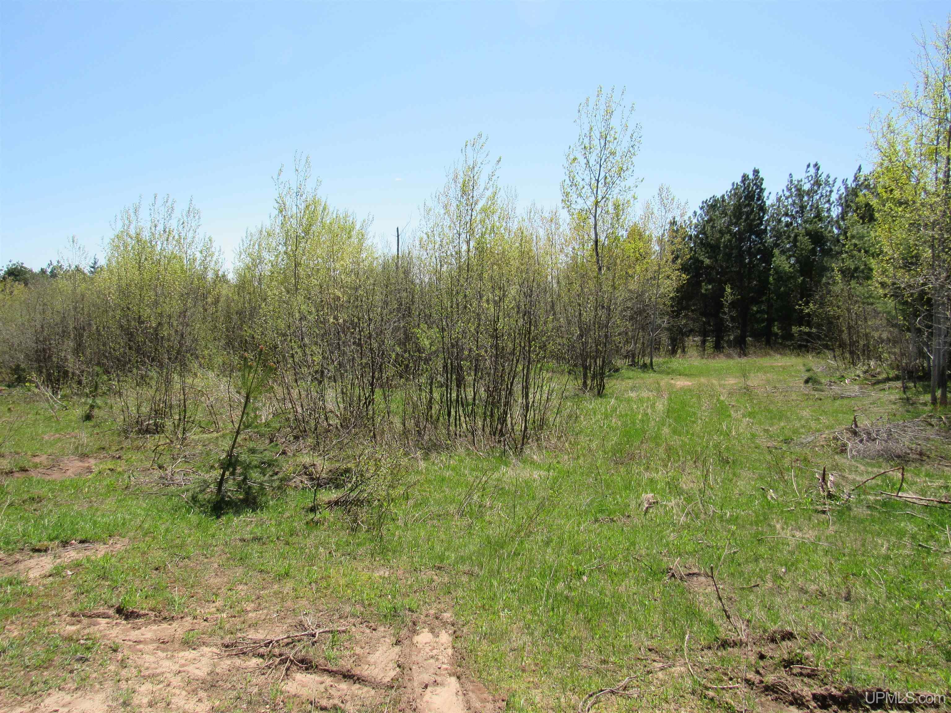 MLS 50111417 Large photo number 13 