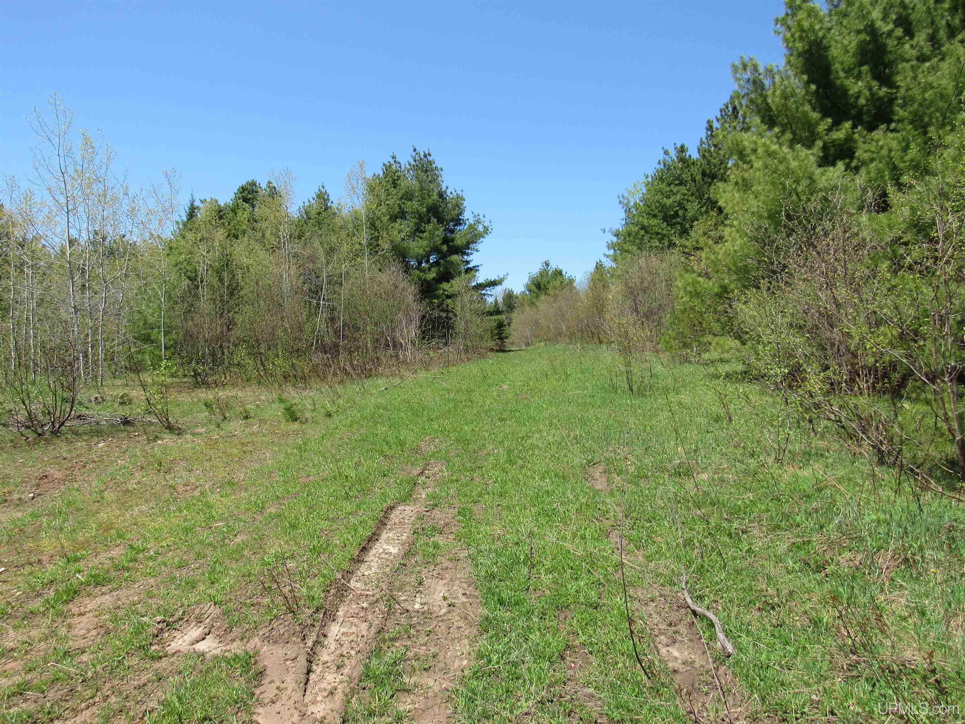MLS 50111417 Large photo number 15 