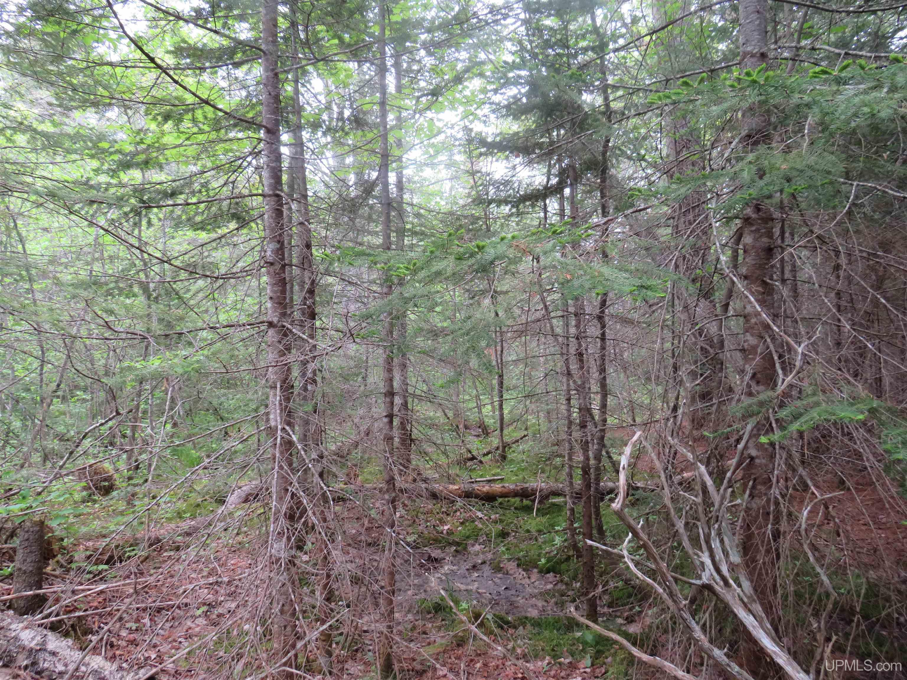 MLS 50111417 Large photo number 16 