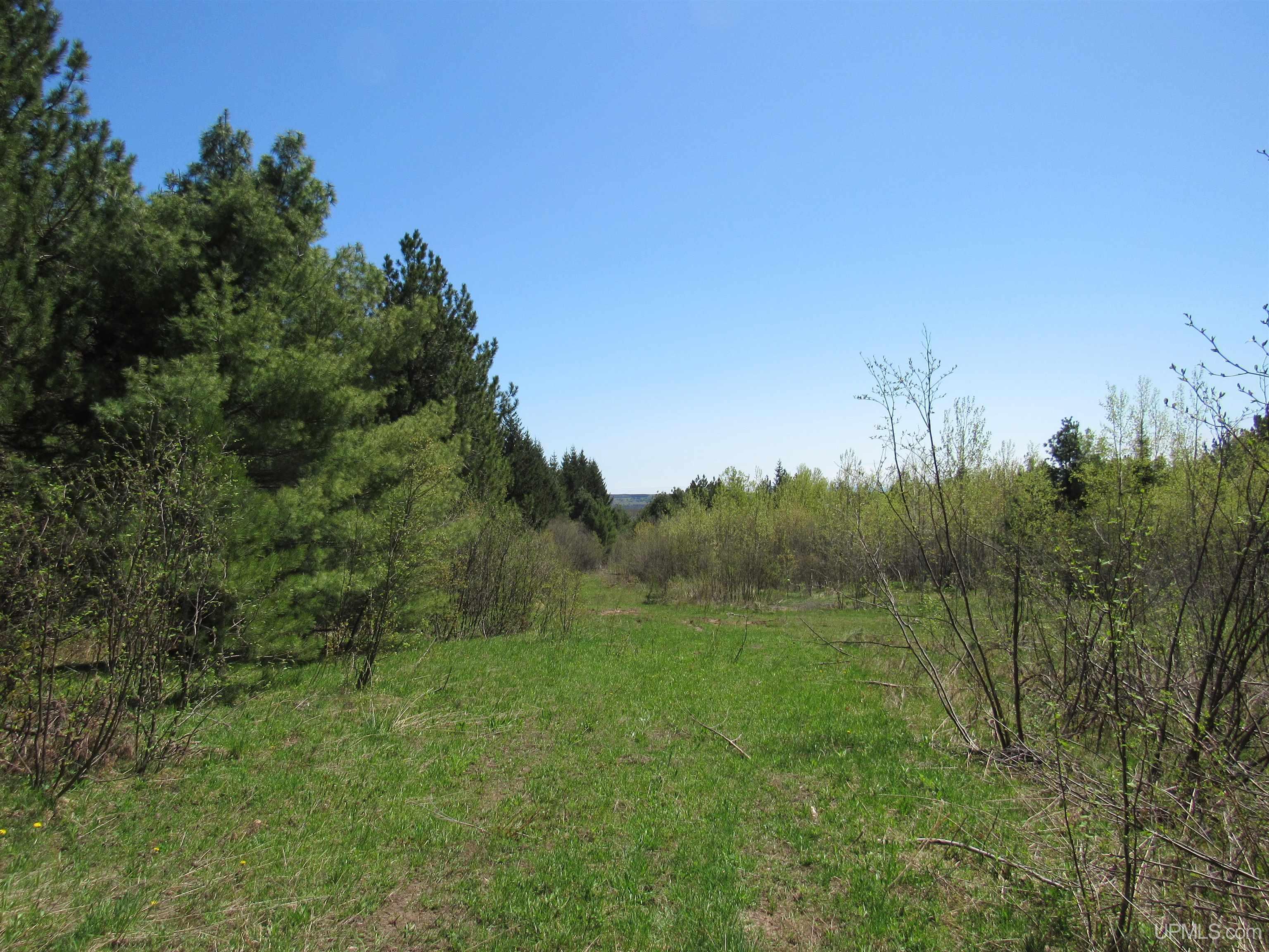 MLS 50111417 Large photo number 17 