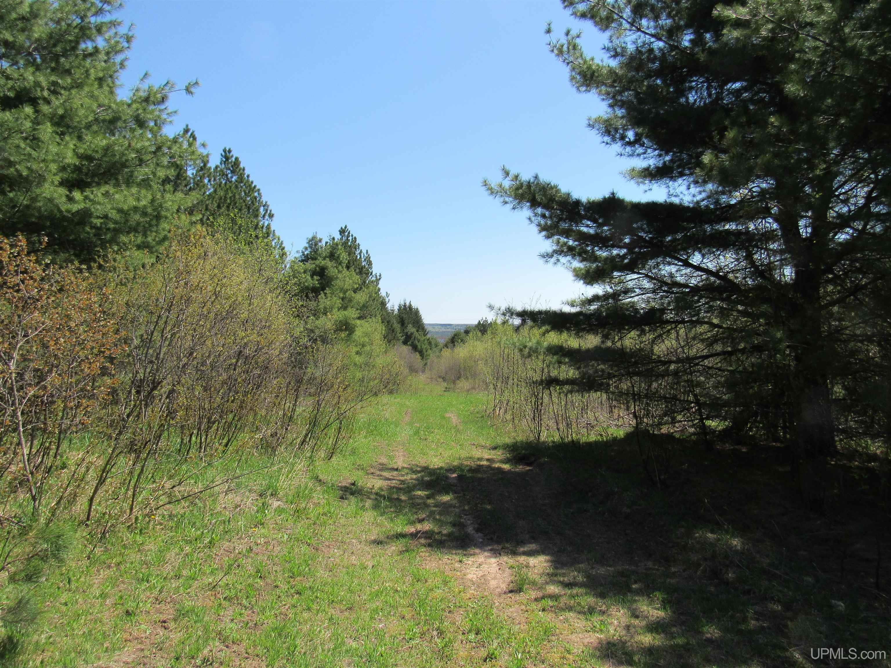 MLS 50111417 Large photo number 19 