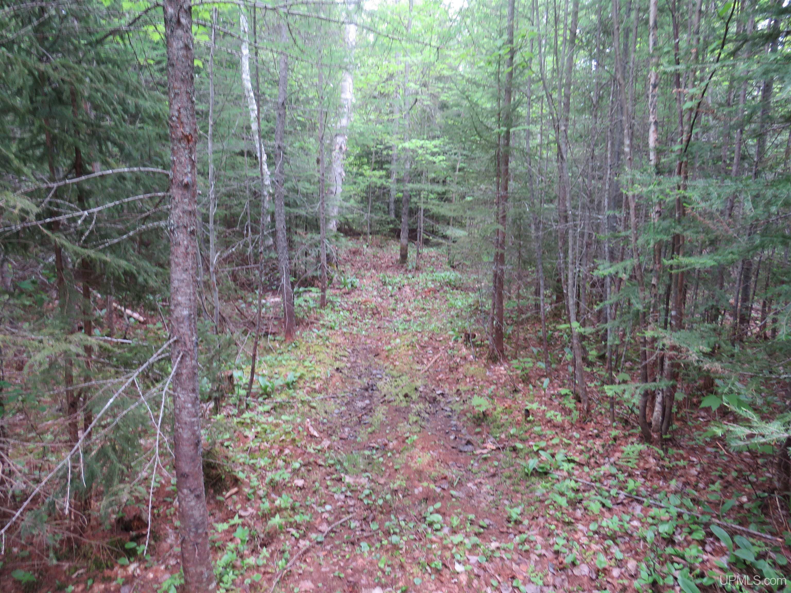 MLS 50111417 Large photo number 21 