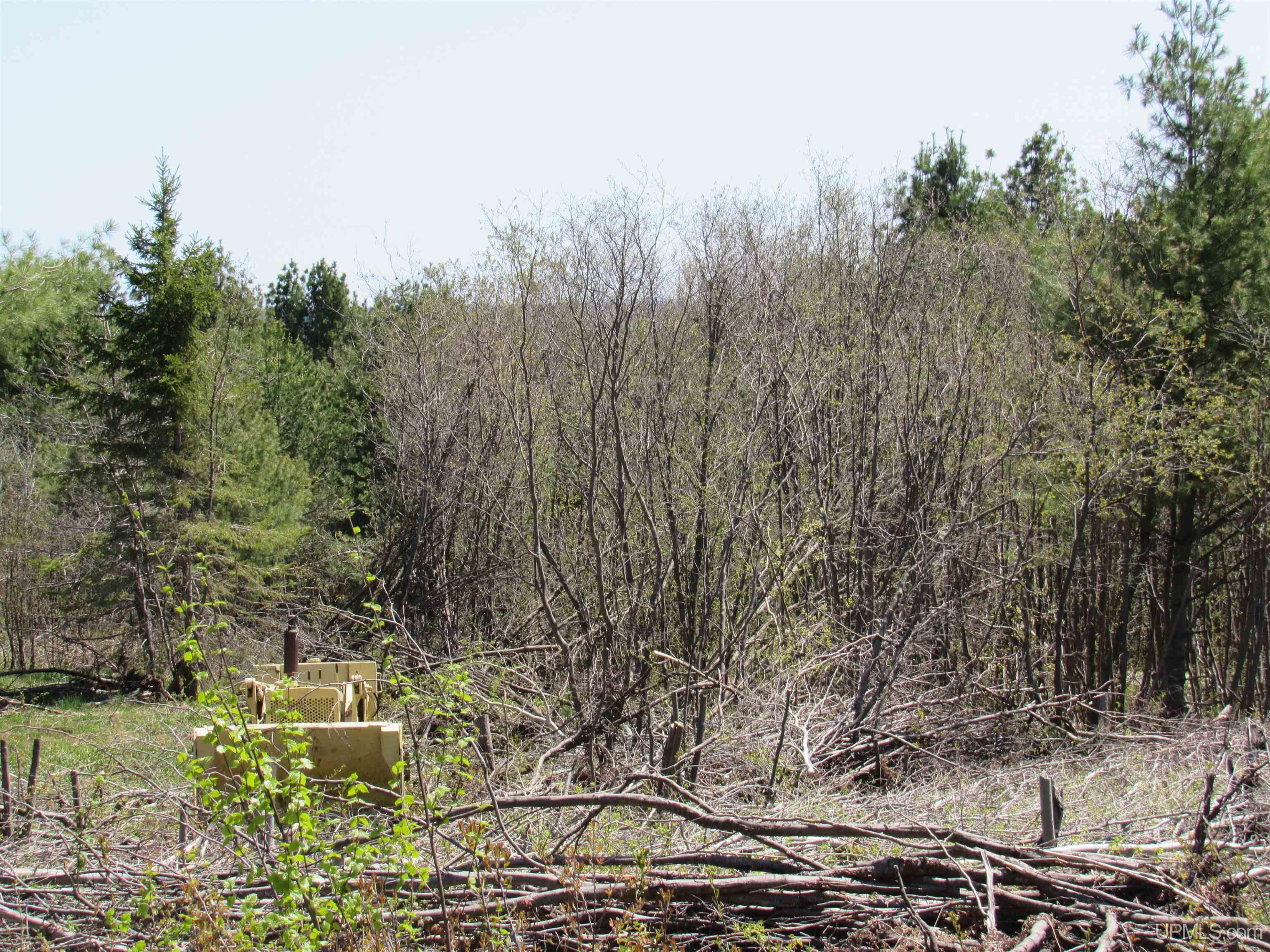 MLS 50111417 Large photo number 23 