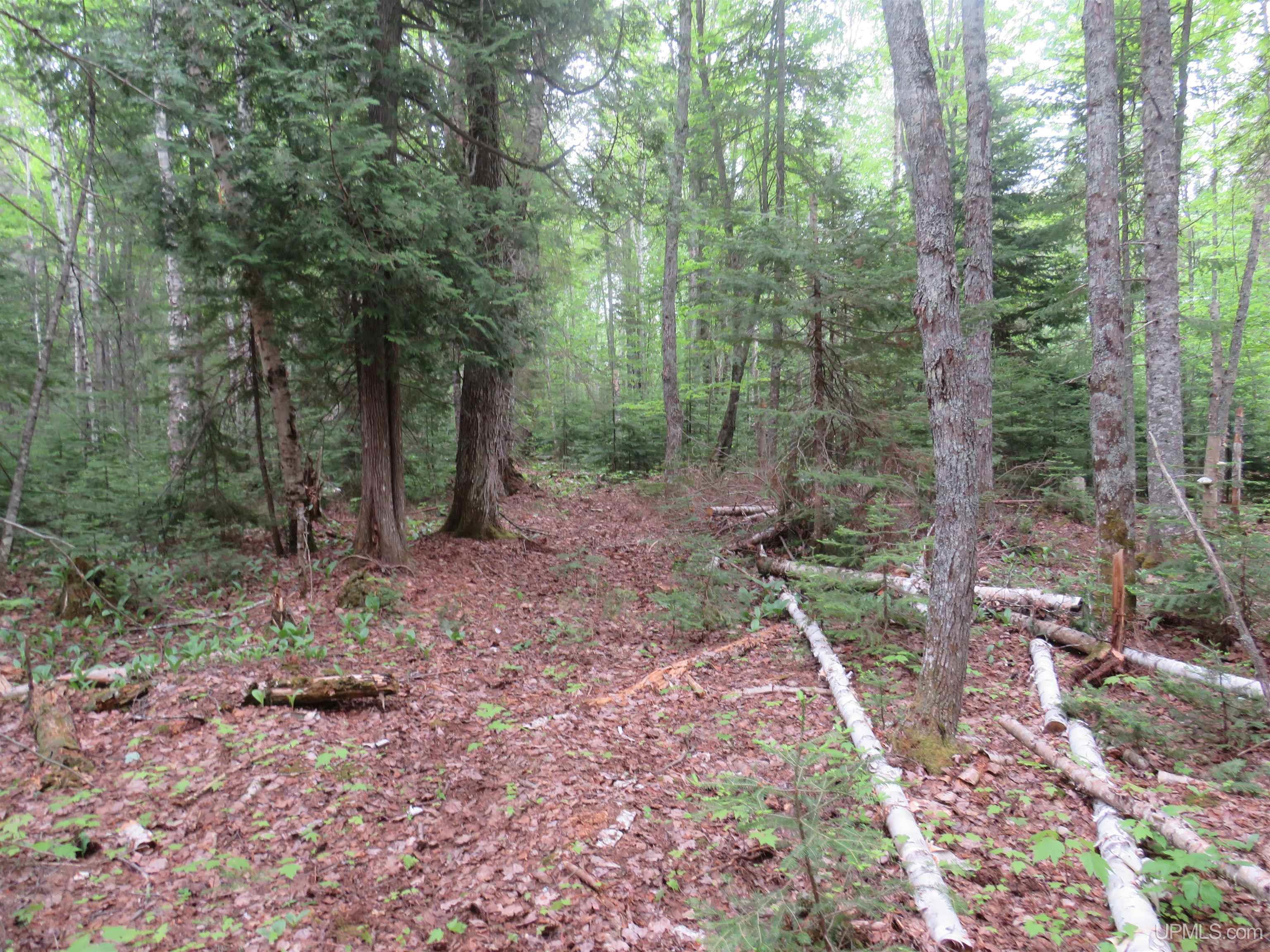 MLS 50111417 Large photo number 33 