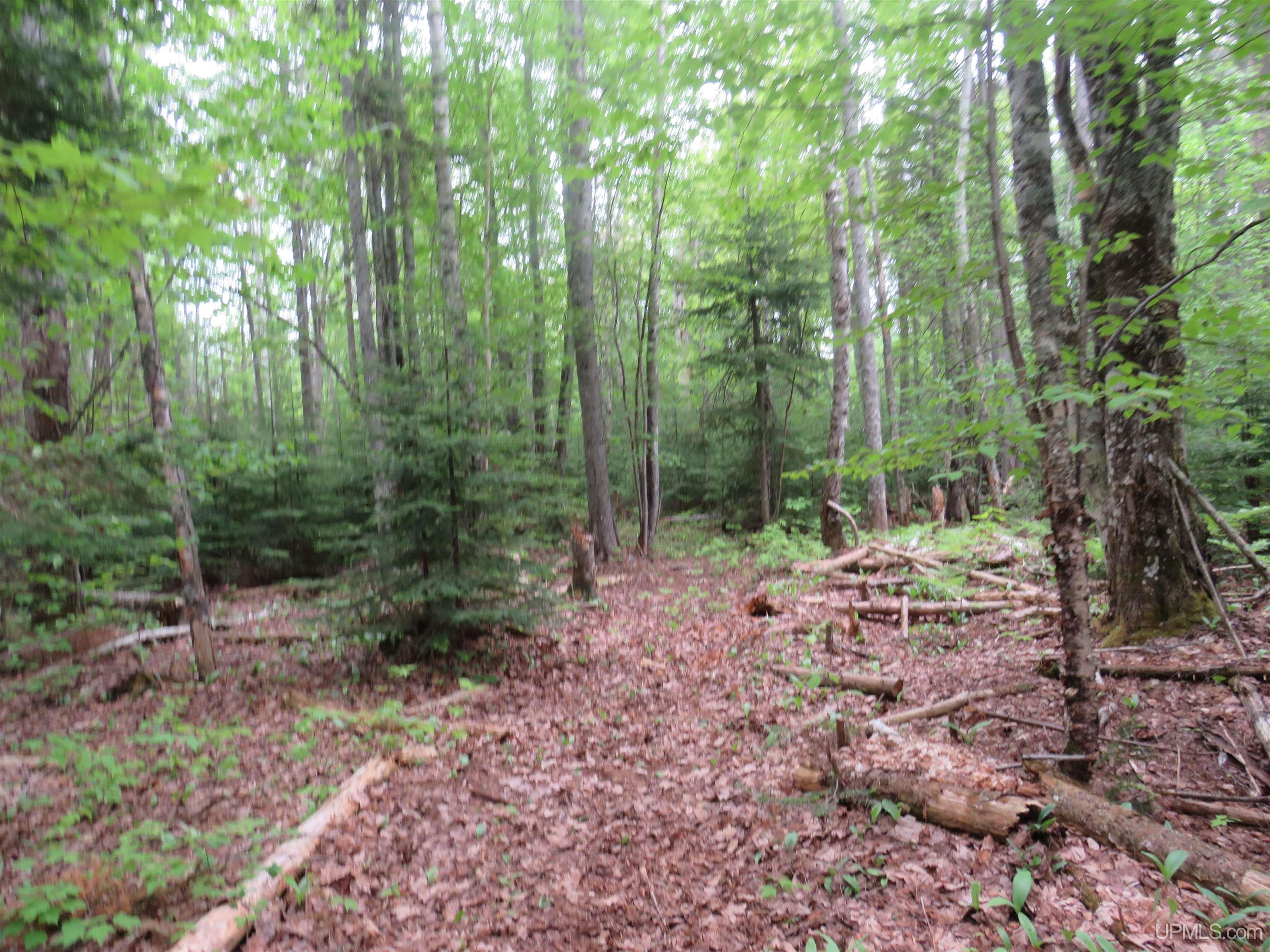 MLS 50111417 Large photo number 34 
