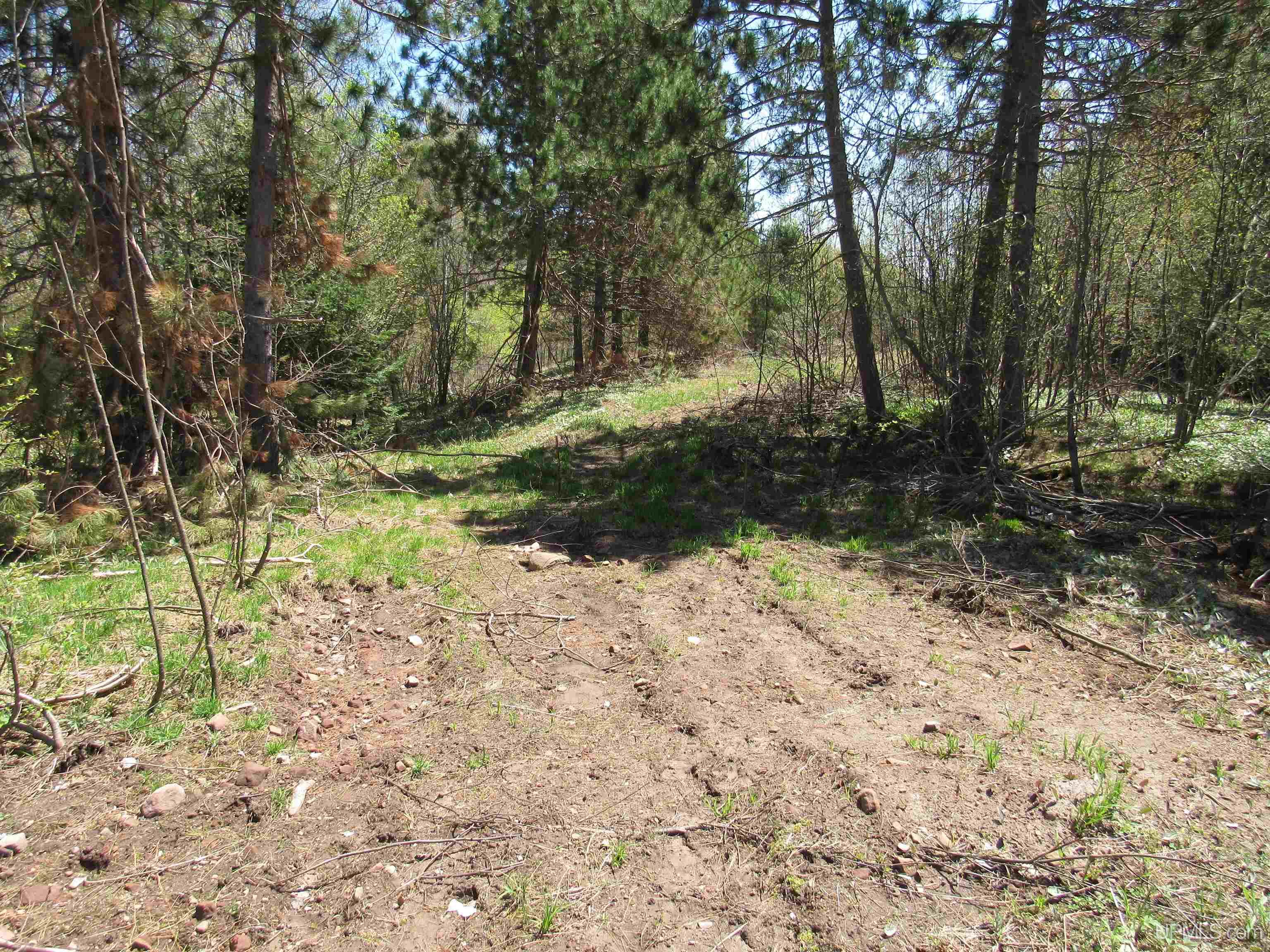 MLS 50111417 Large photo number 5 