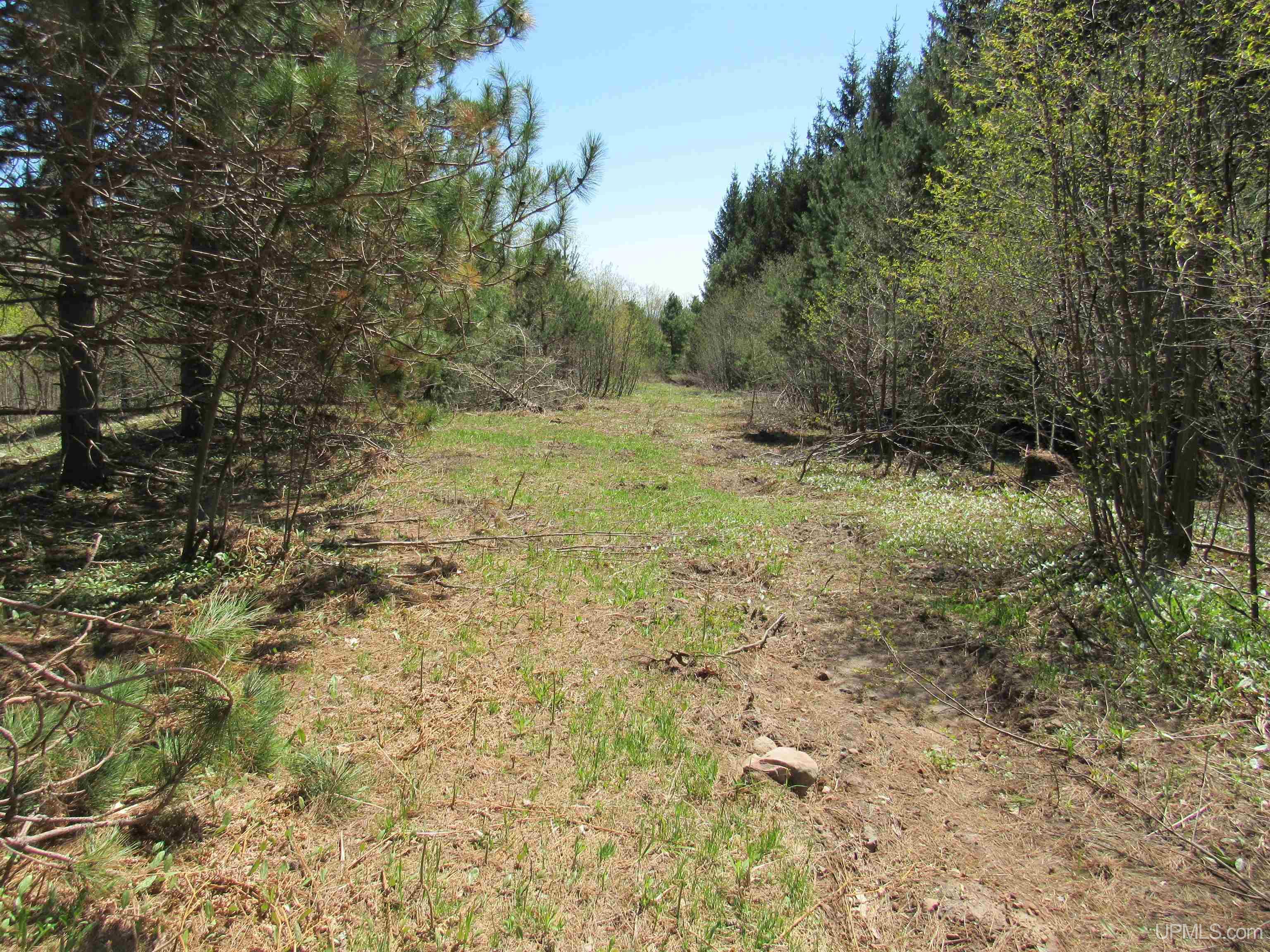 MLS 50111417 Large photo number 6 