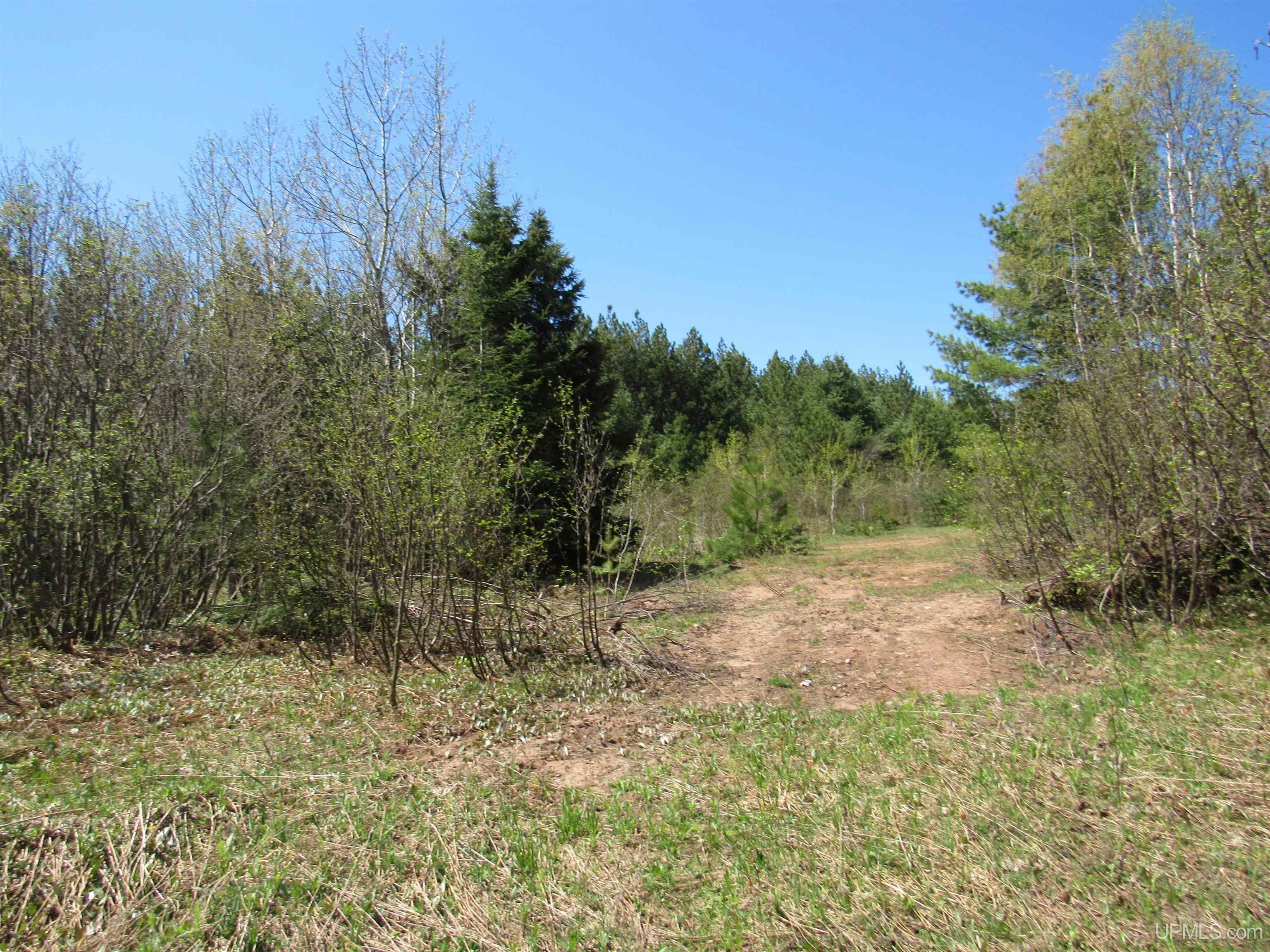 MLS 50111417 Large photo number 9 
