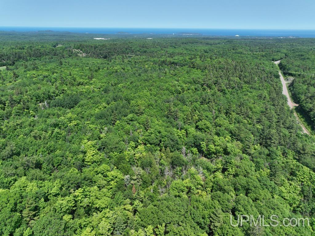 MLS 50113678 Large photo number 11 