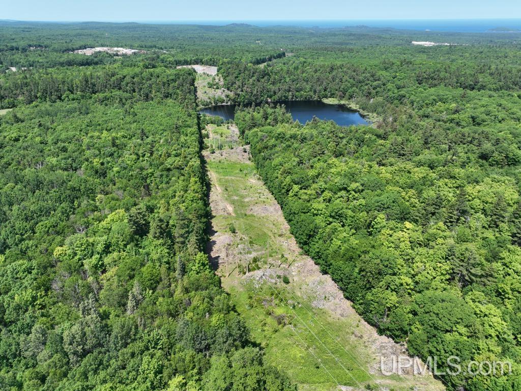MLS 50113678 Large photo number 12 