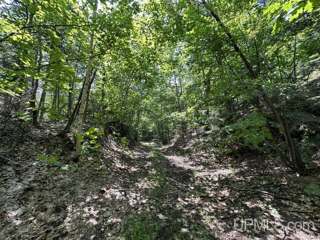 MLS 50113678 Large photo number 15 