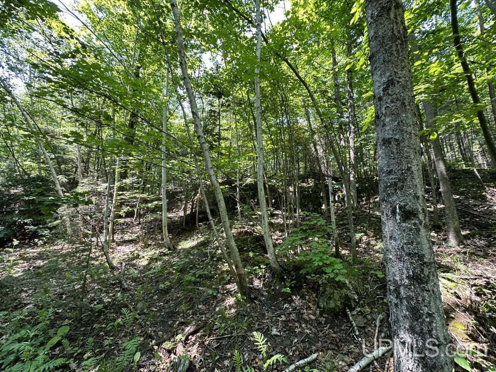 MLS 50113678 Large photo number 19 