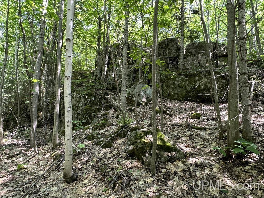 MLS 50113678 Large photo number 20 