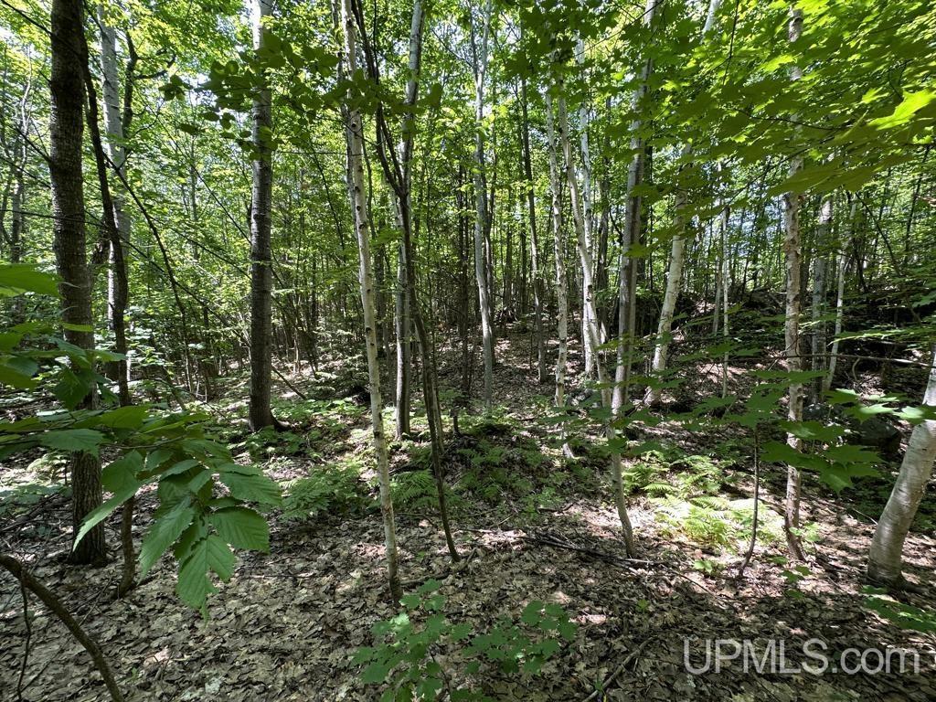 MLS 50113678 Large photo number 22 