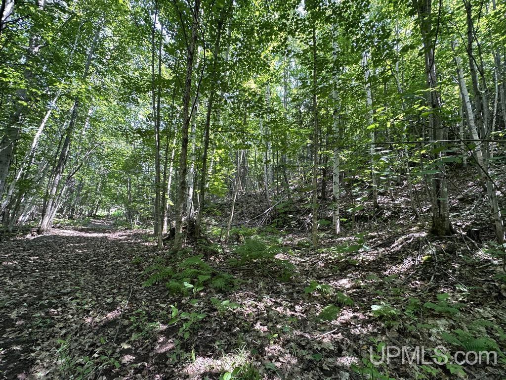 MLS 50113678 Large photo number 25 