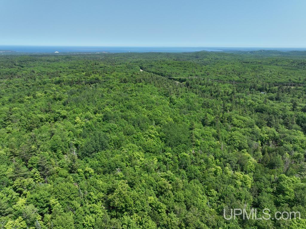 MLS 50113678 Large photo number 5 