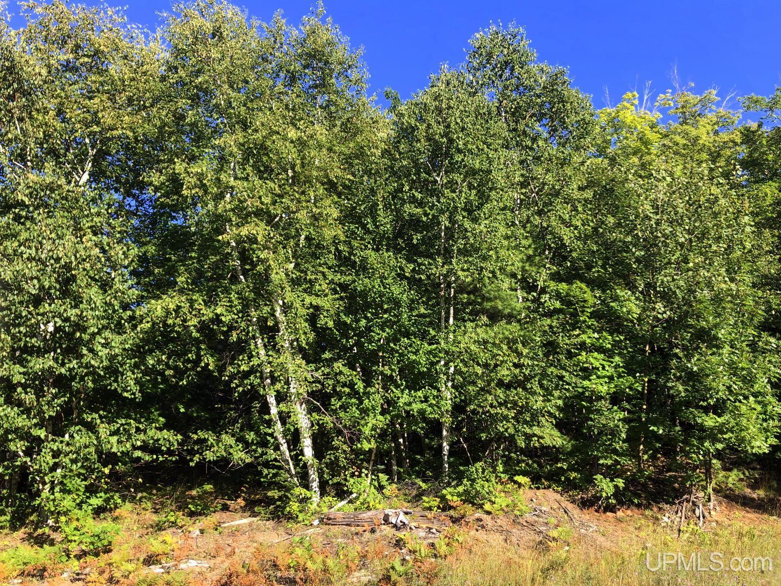 MLS 50122652 Large photo number 11 