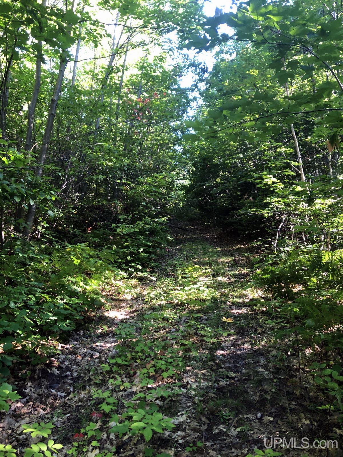 MLS 50122652 Large photo number 13 
