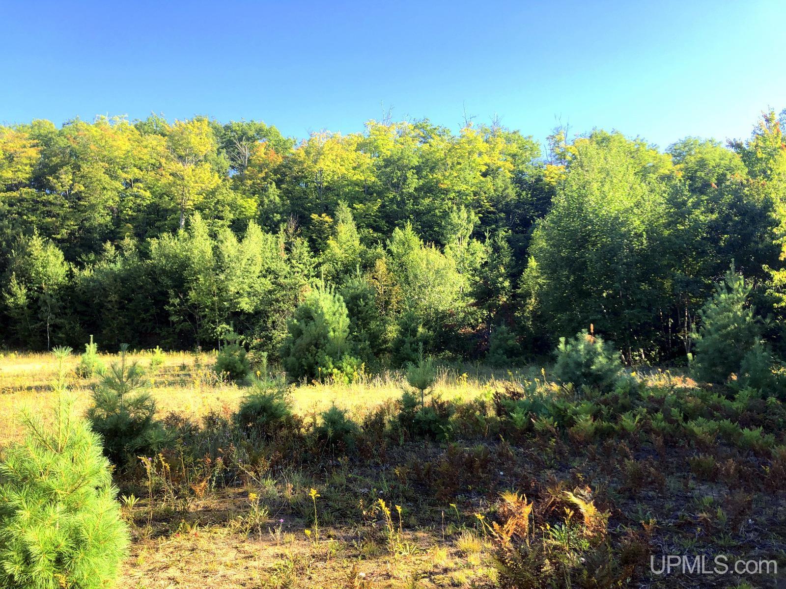 MLS 50122652 Large photo number 15 