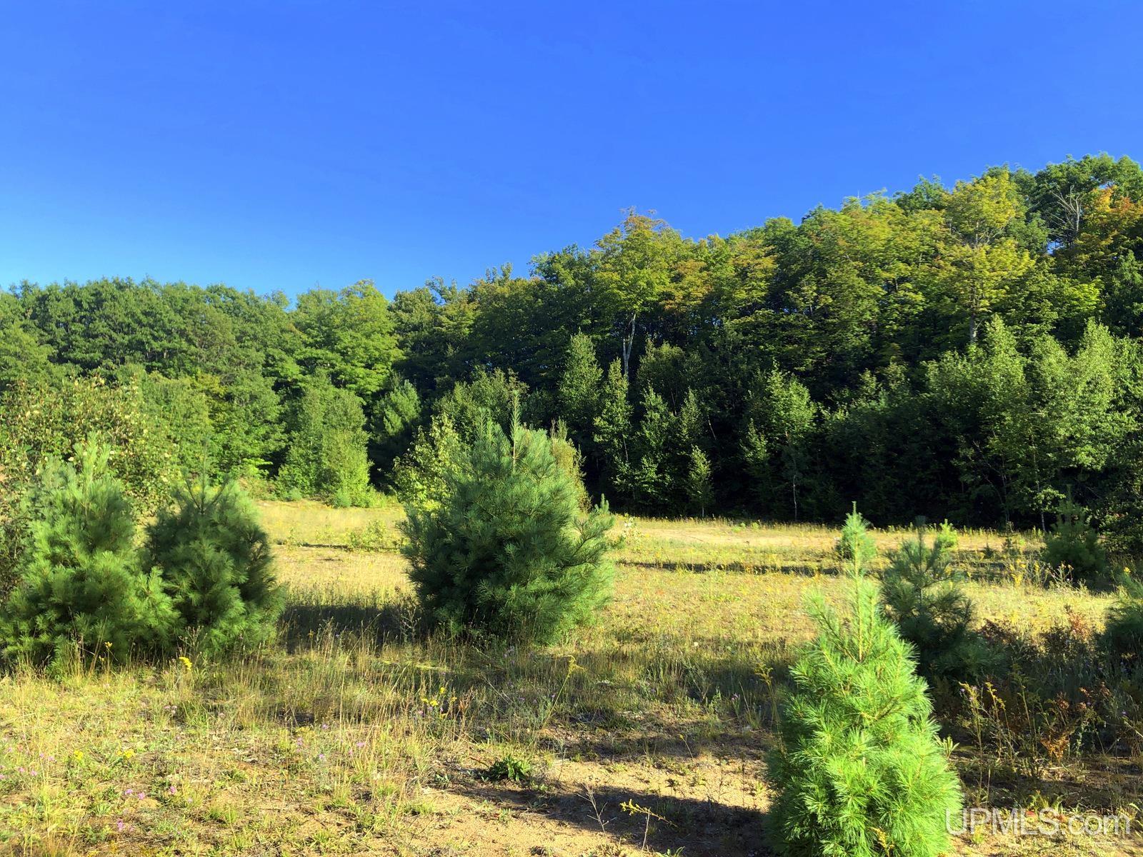 MLS 50122652 Large photo number 16 