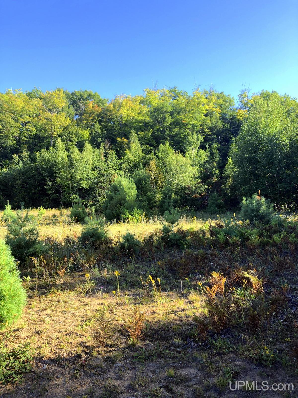 MLS 50122652 Large photo number 17 