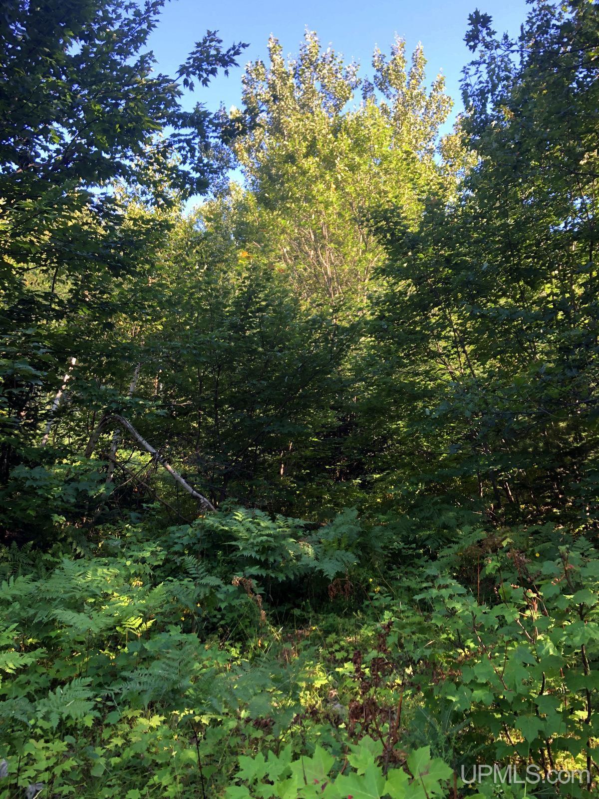 MLS 50122652 Large photo number 4 