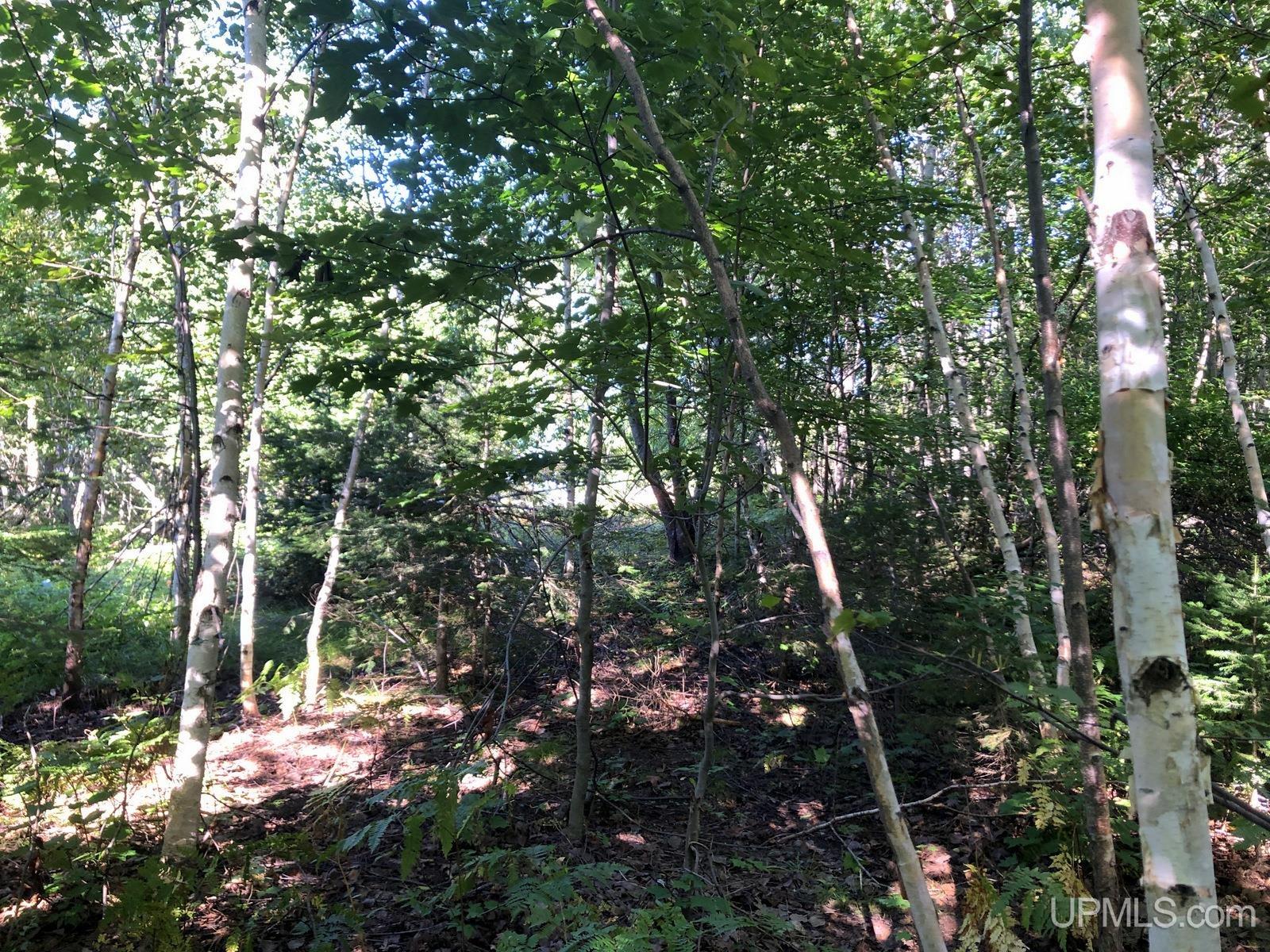 MLS 50122652 Large photo number 8 
