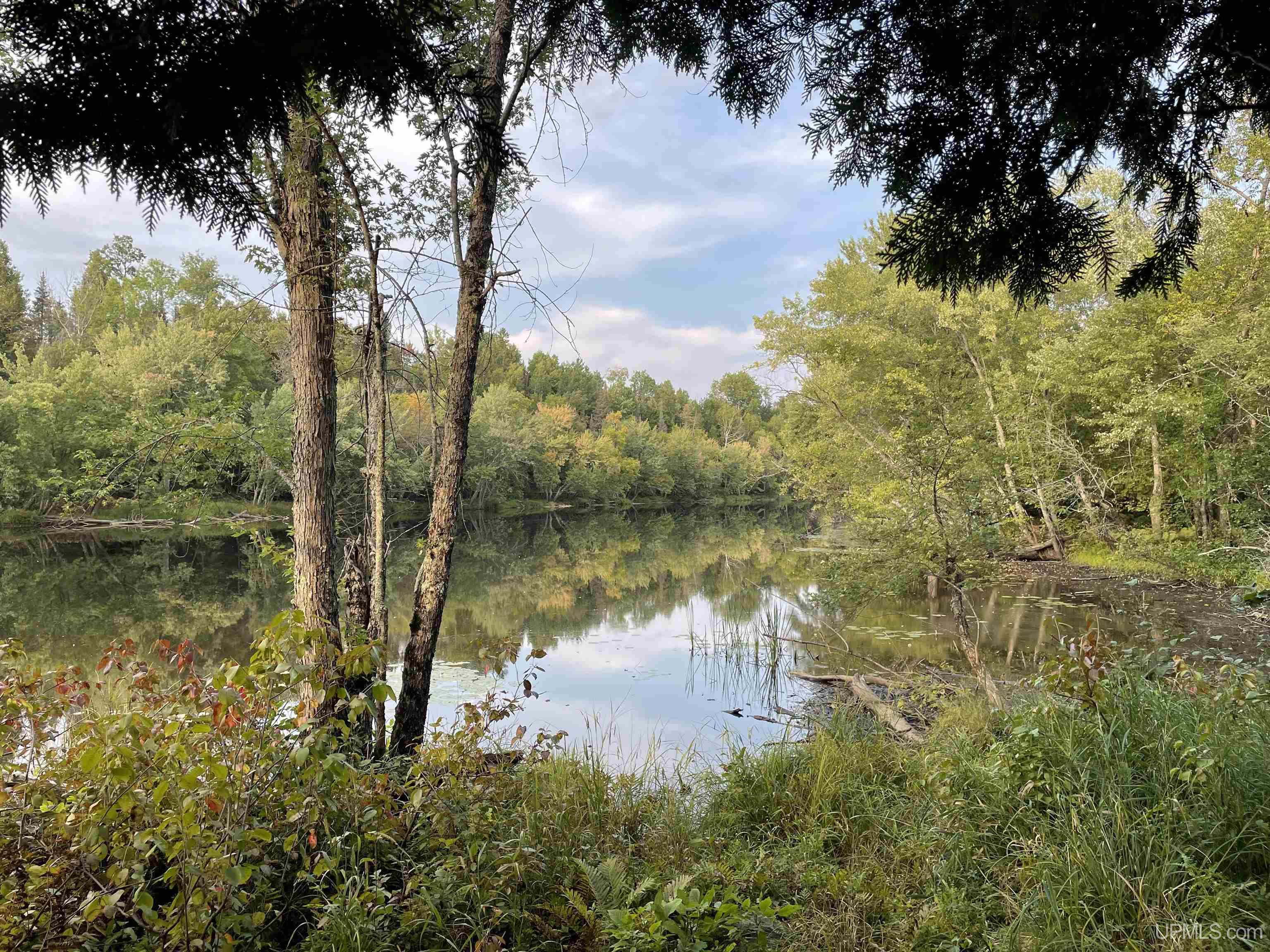 MLS 50124046 Large photo number 17 