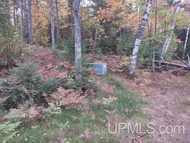 MLS 50124997 Large photo number 40 