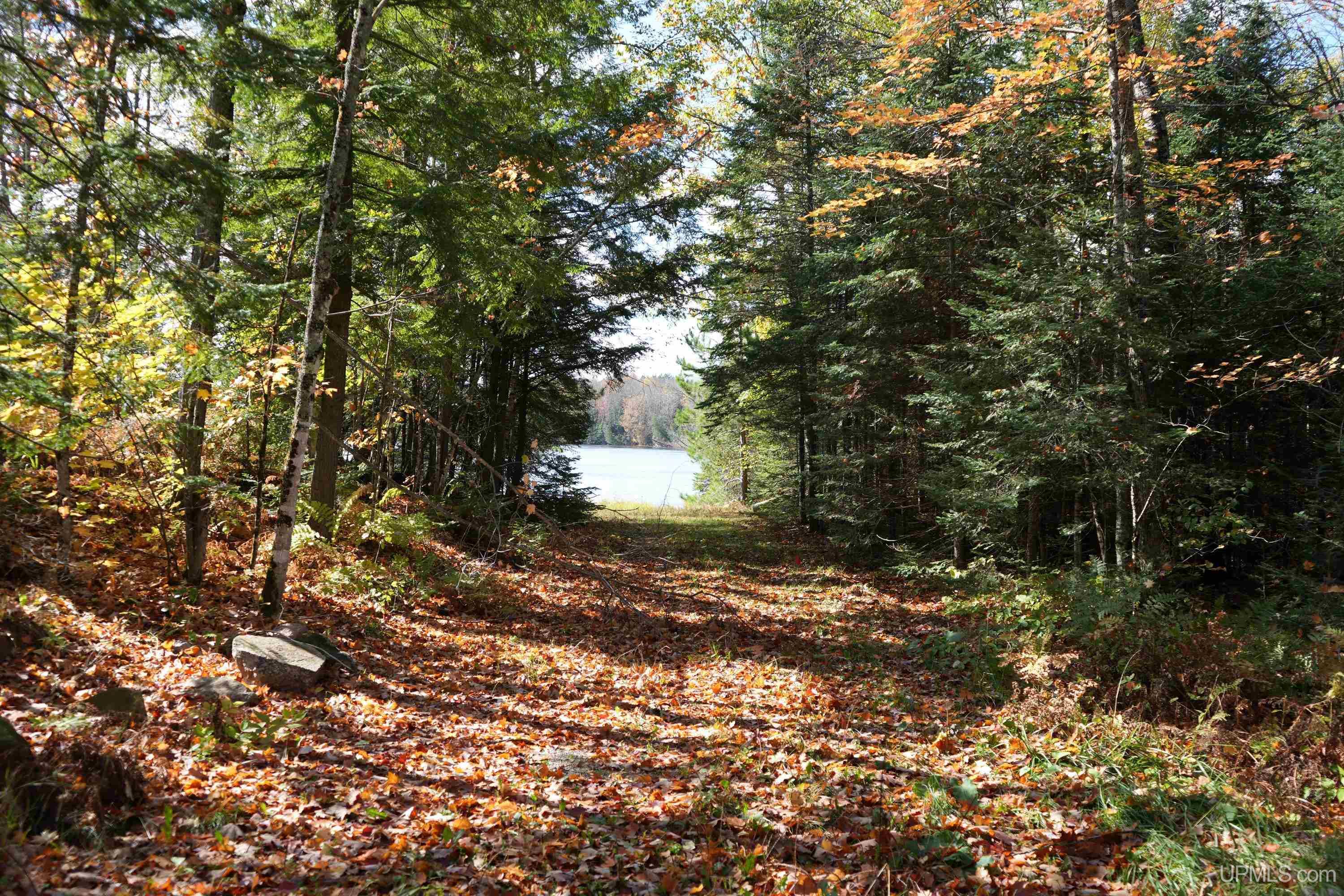 MLS 50124997 Large photo number 43 