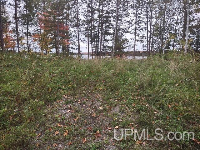 MLS 50124997 Large photo number 44 