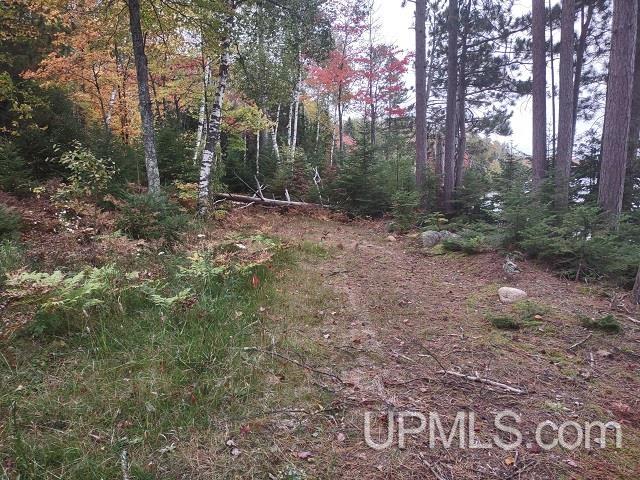 MLS 50124997 Large photo number 49 
