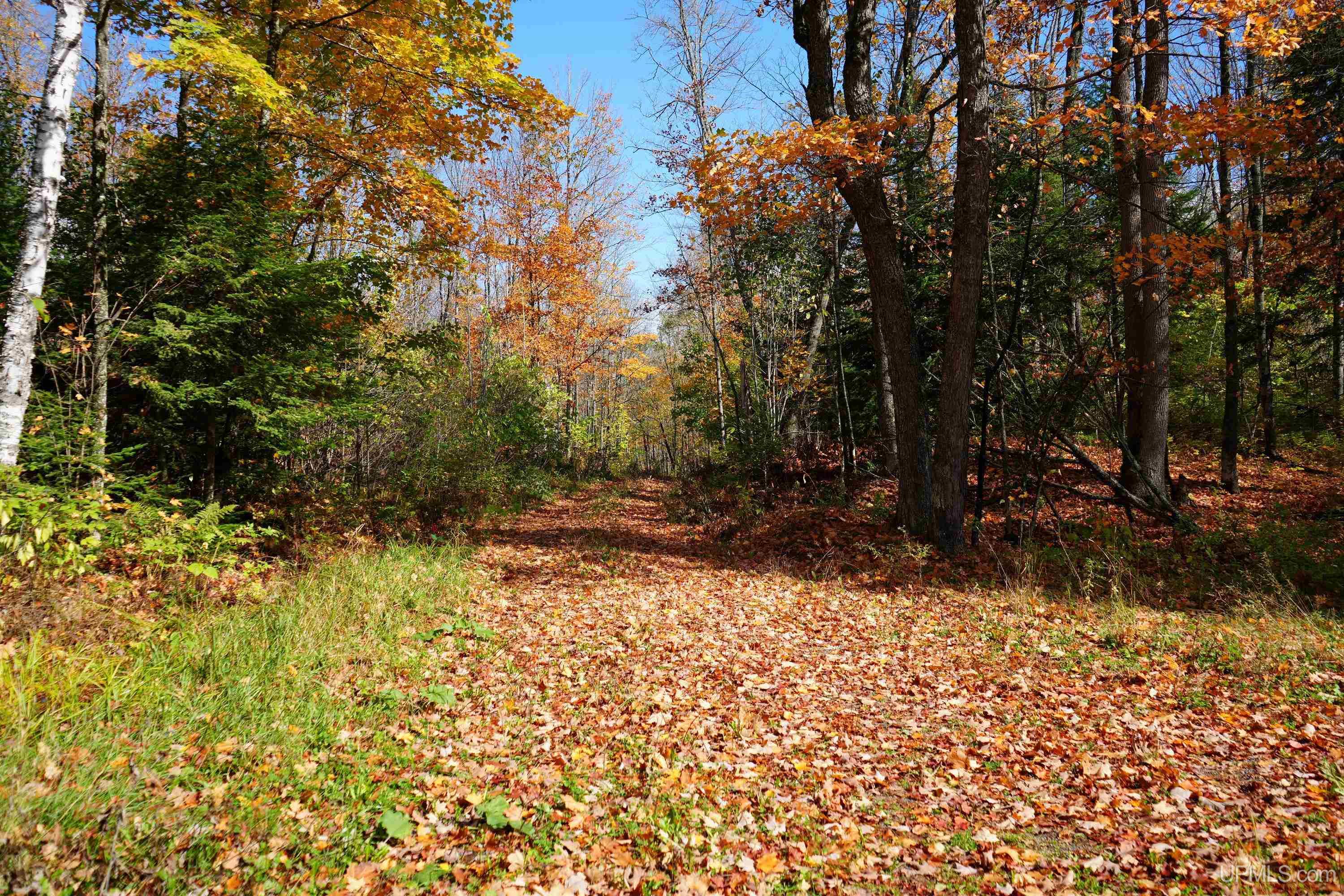 MLS 50124997 Large photo number 50 
