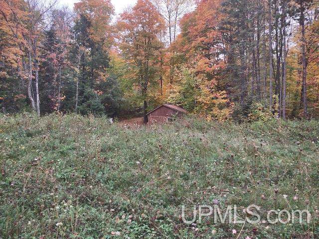 MLS 50124997 Large photo number 51 