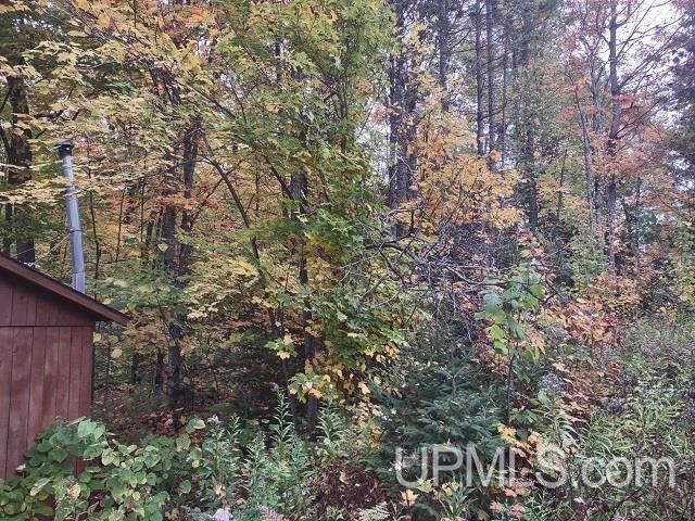 MLS 50124997 Large photo number 56 