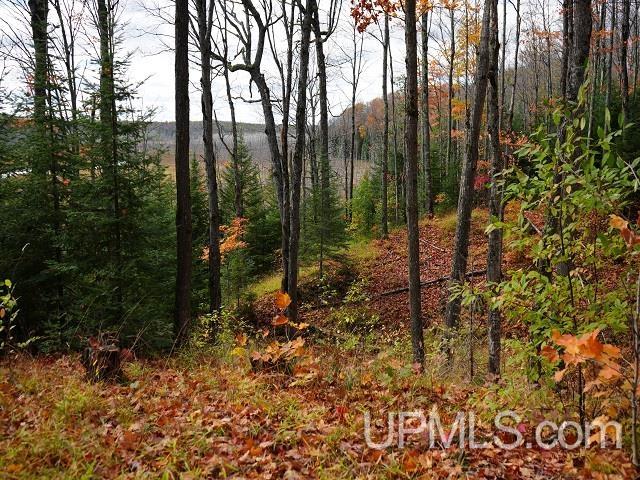 MLS 50124997 Large photo number 59 