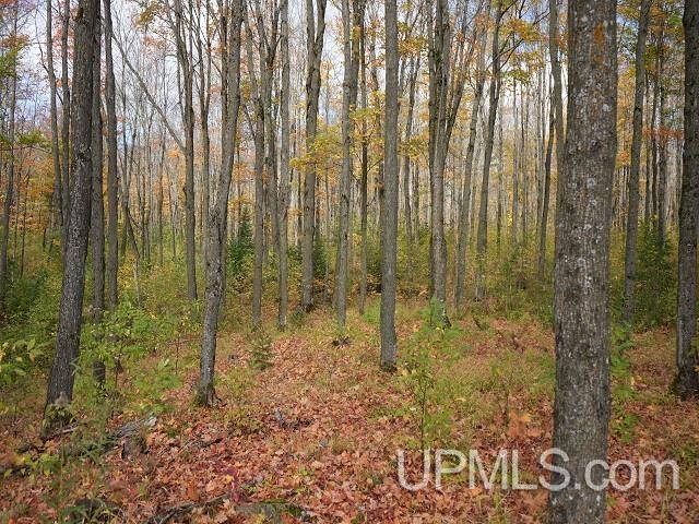 MLS 50124997 Large photo number 60 