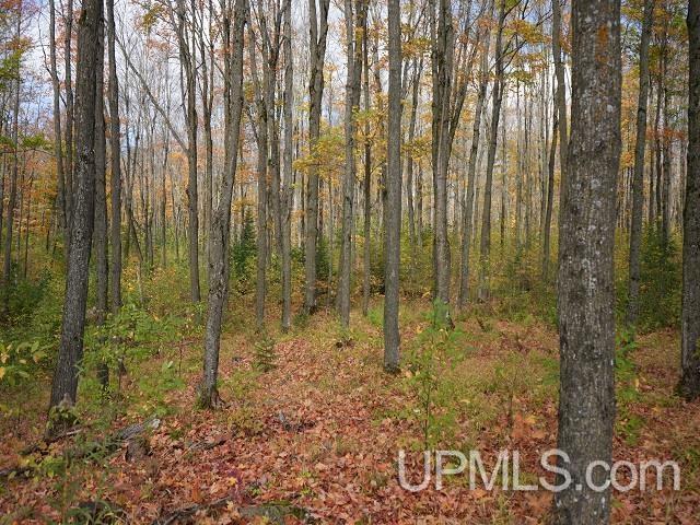 MLS 50124997 Large photo number 61 