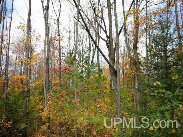 MLS 50124997 Large photo number 63 