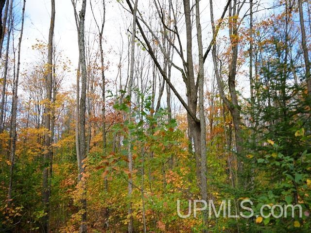 MLS 50124997 Large photo number 64 