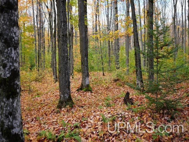 MLS 50124997 Large photo number 65 