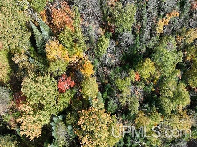MLS 50124997 Large photo number 68 