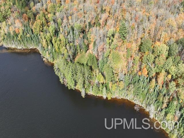 MLS 50124997 Large photo number 78 