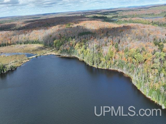 MLS 50124997 Large photo number 81 