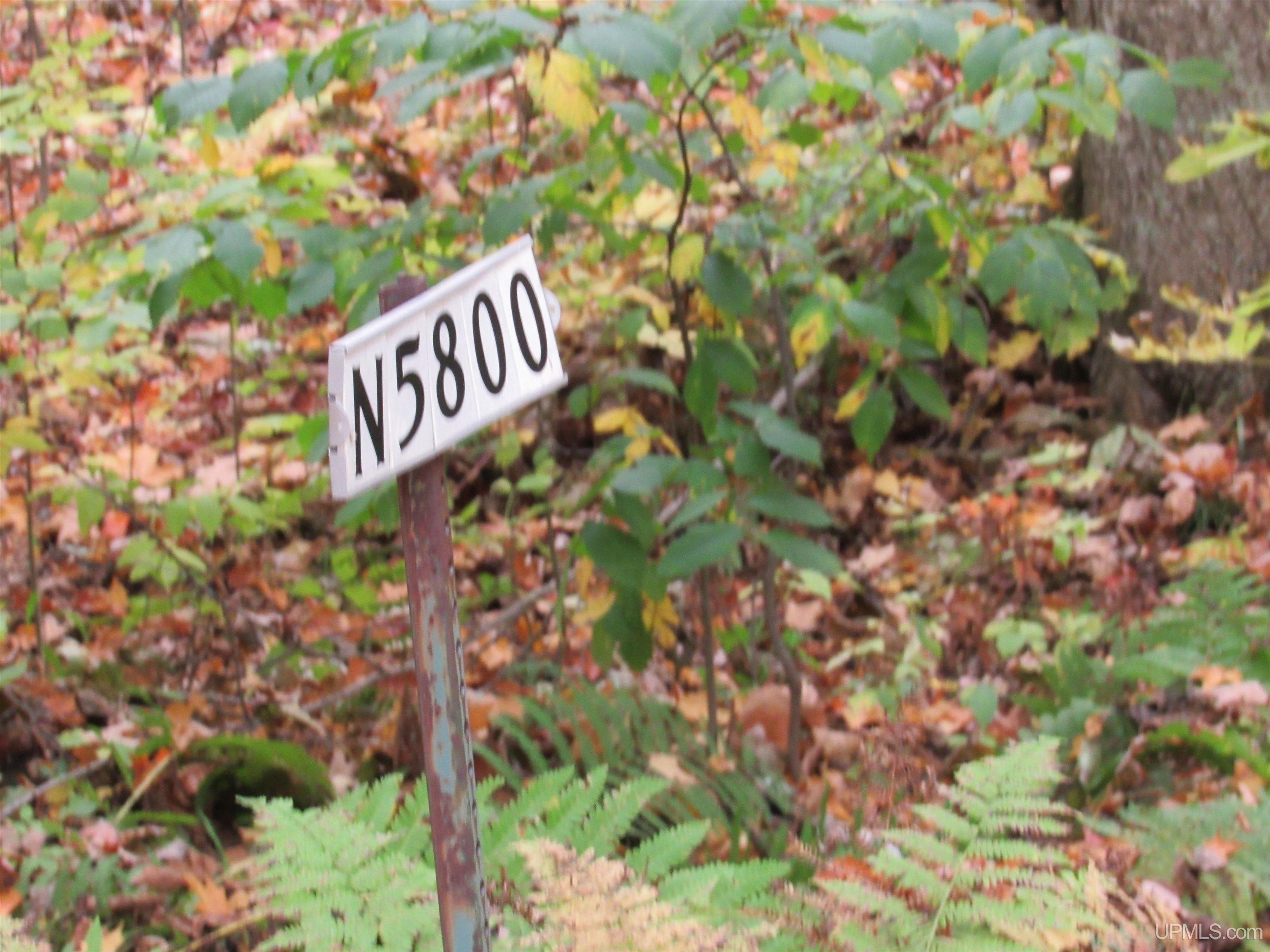MLS 50124997 Large photo number 86 