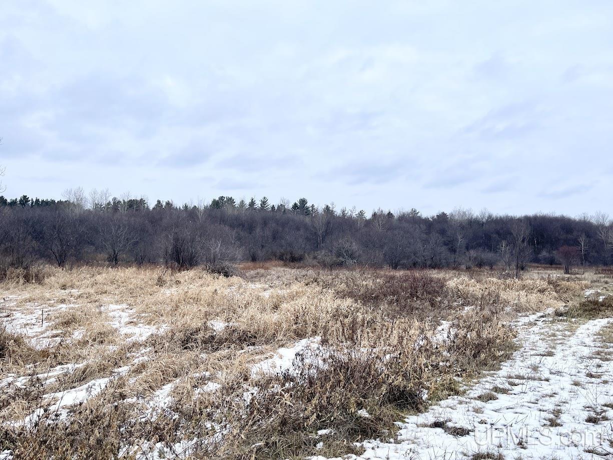 MLS 50129243 Large photo number 3 