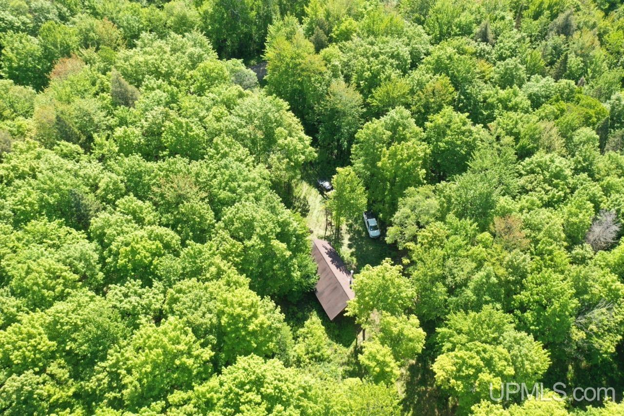 MLS 50129584 Large photo number 2 