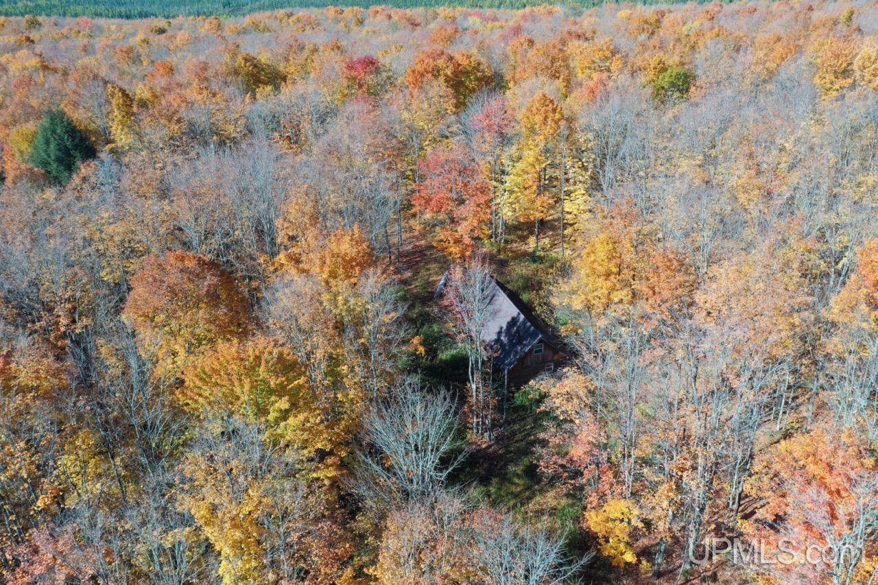 MLS 50129584 Large photo number 13 