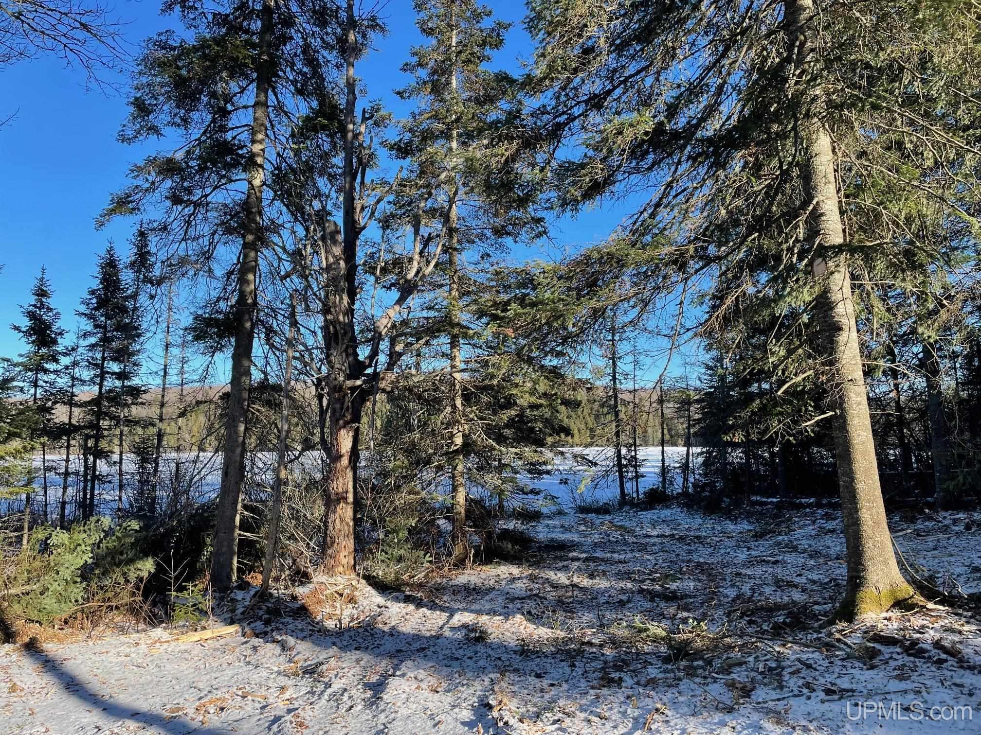 MLS 50129584 Large photo number 25 
