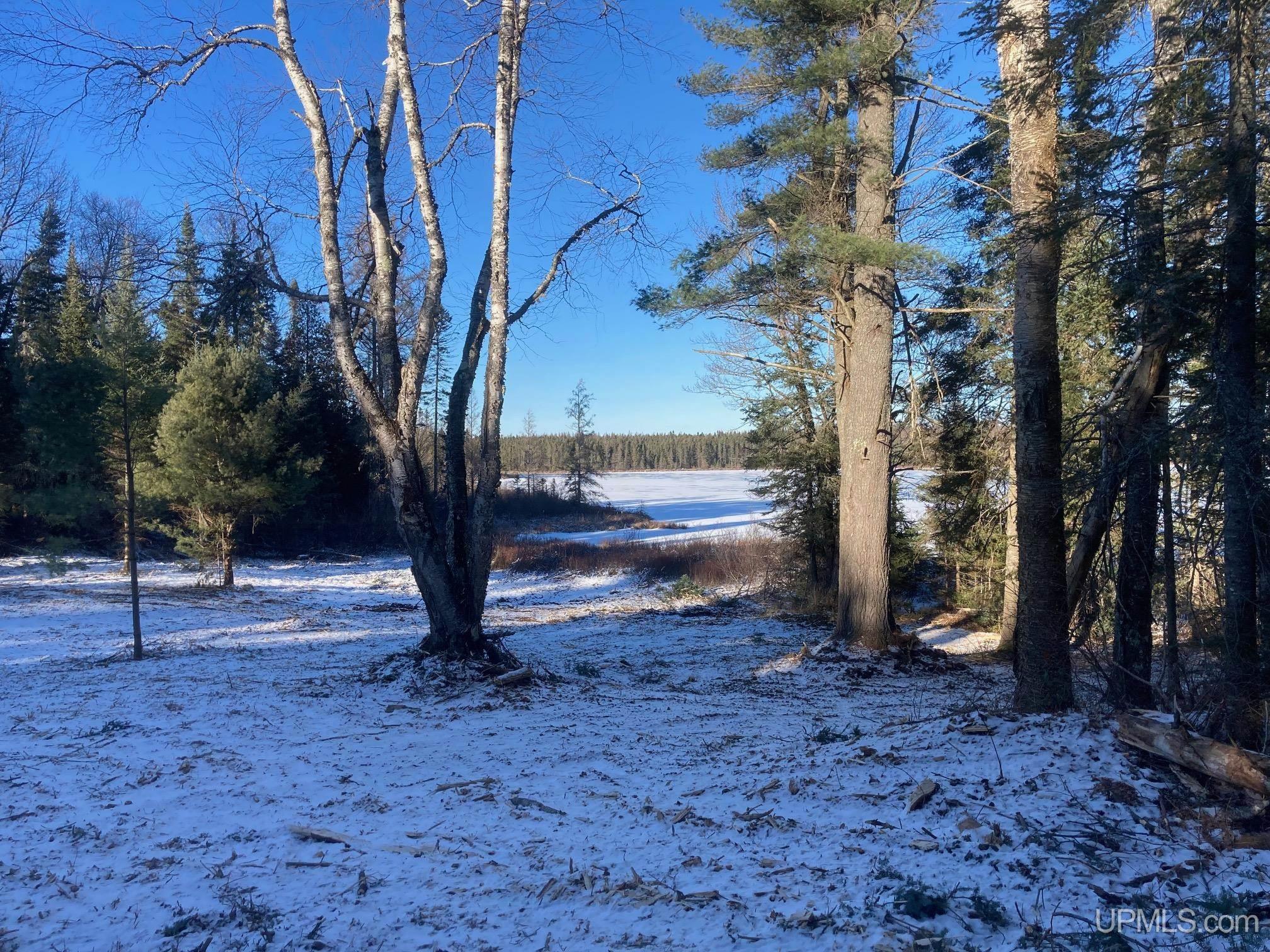 MLS 50129584 Large photo number 32 